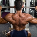 muscle mass